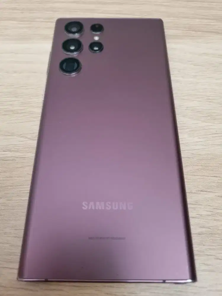 Samsung S22 Ultra Sein