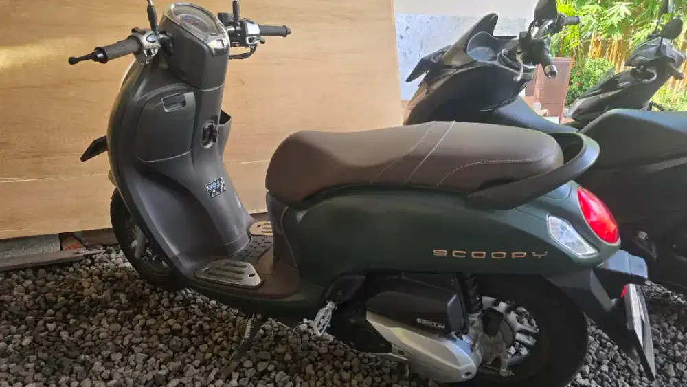 Scoopy Stylish 2023