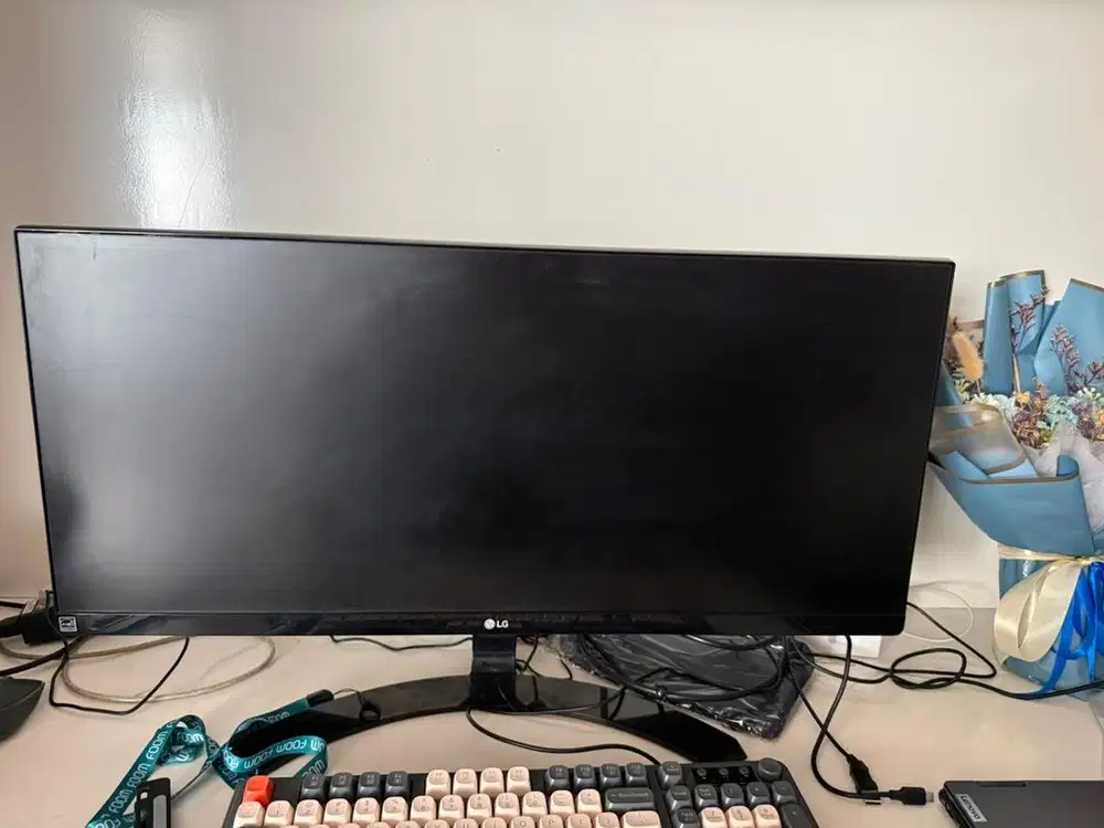 Jual Cepat Monitor LG 29um59a p NEGO