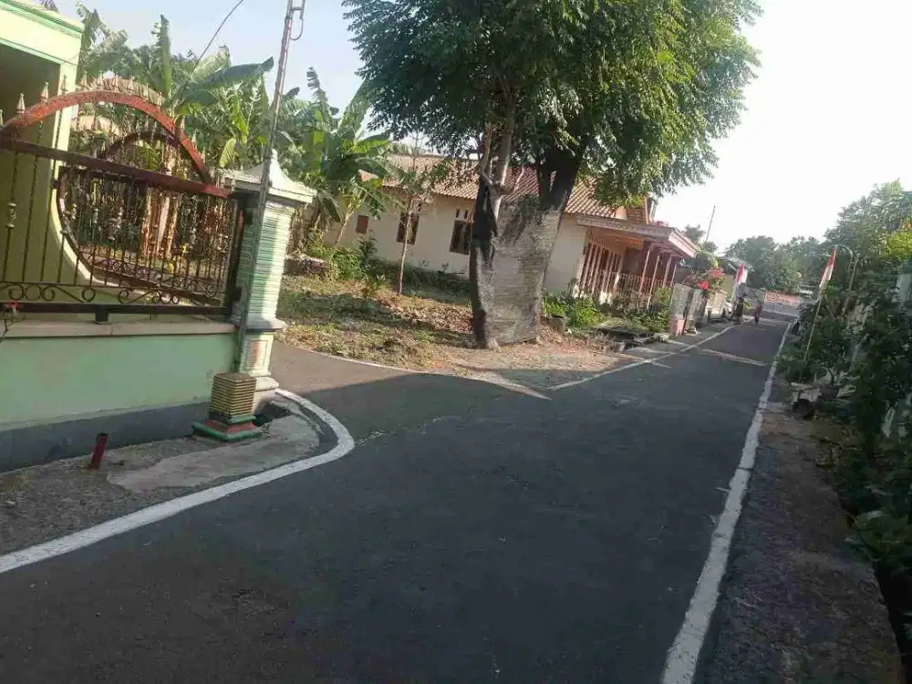 tanah prampalan hanya 20 an meter dari jln Solo sragen