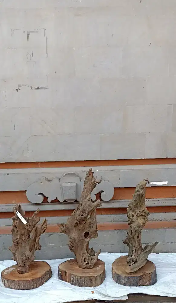 Kayu fosil estetik