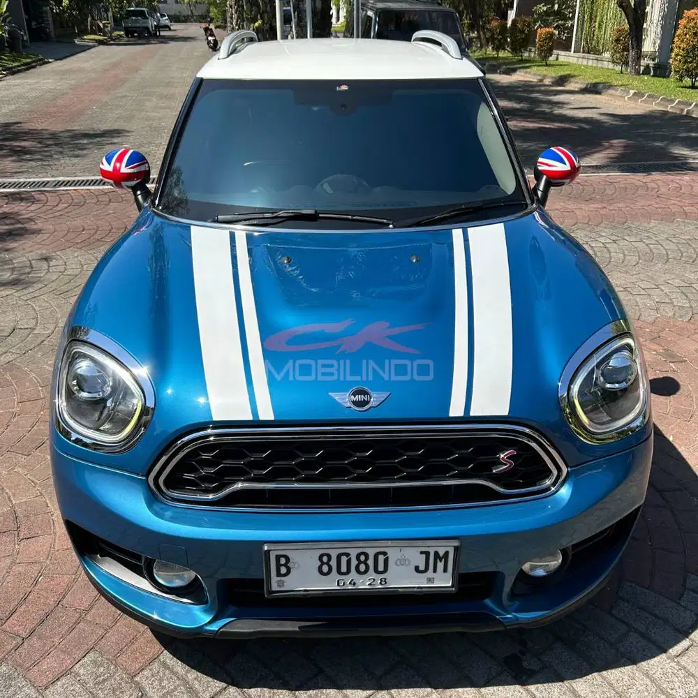 Mini Cooper COUNTRYMAN TURBO F60 AT 2017
