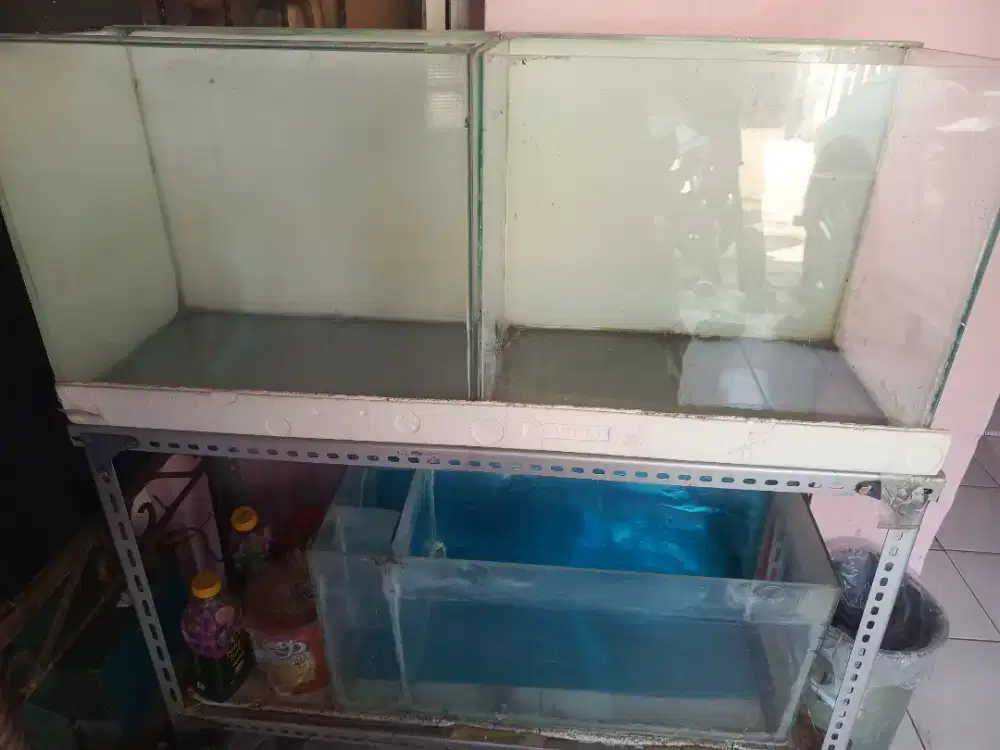 Jual Aquarium ukuran 45x45x30