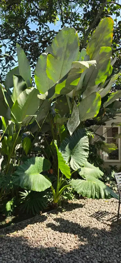 Lowongan pekerjaan