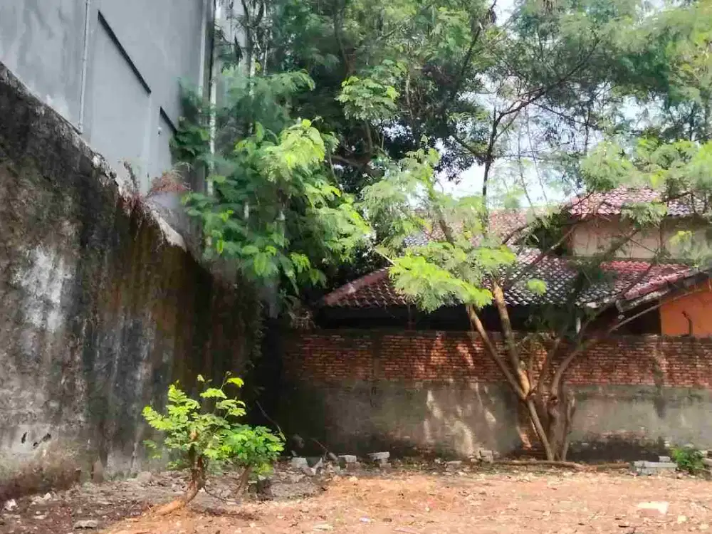 tanah 44m dan  66m SHM 5jt/nego