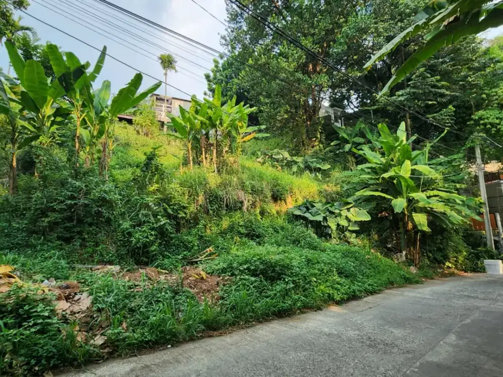 Dijual Kavling Luas di Kawasan Tirtasari Foresta Sayap Setraduta