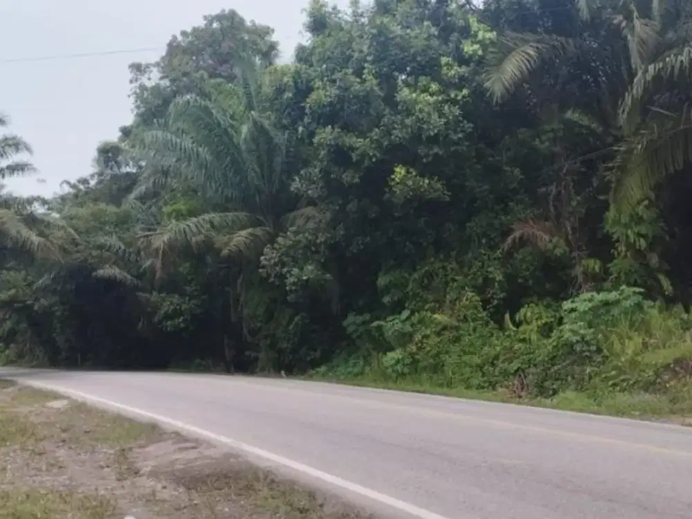DIJUAL TANAH PINGGIR JALAN DI TANAH GROGOT, PASER, KALIMANTAN TIMUR