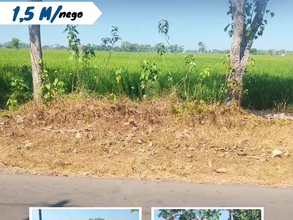 Dijual Sawah Di Macanan, Kebakkramat