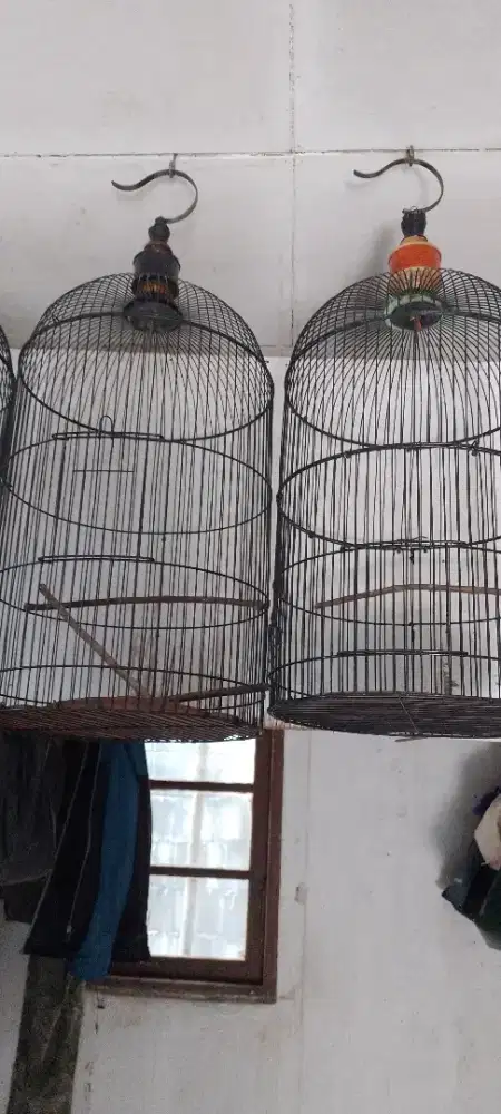 Jual kandang lovebird bagus