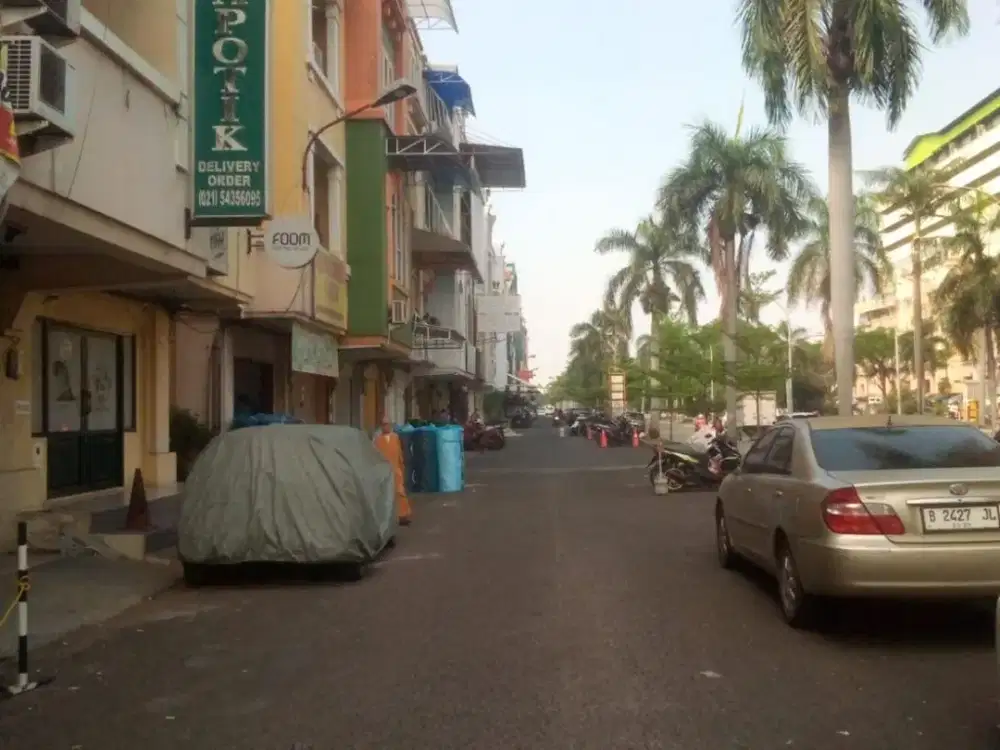 Dijual Cepat Ruko di Mutiara Taman Palem