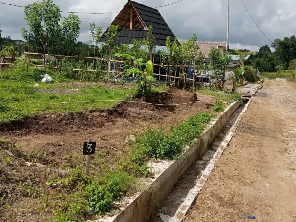Dijual Tanah Kavling Eksklusif View Danau Bedugul Tabanan – Langka & Siap Bangun