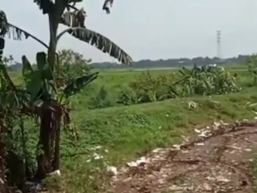 Dijual Lahan kurleb 100 ha di Pagedangan Pasar Kemis dekat Kawasan Alam Sutera Pasar Kemis dan Bandara