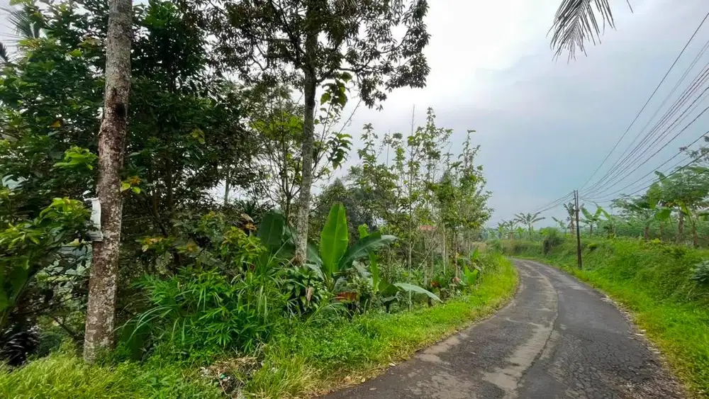 Di jual tanah SHM luas 7000 m