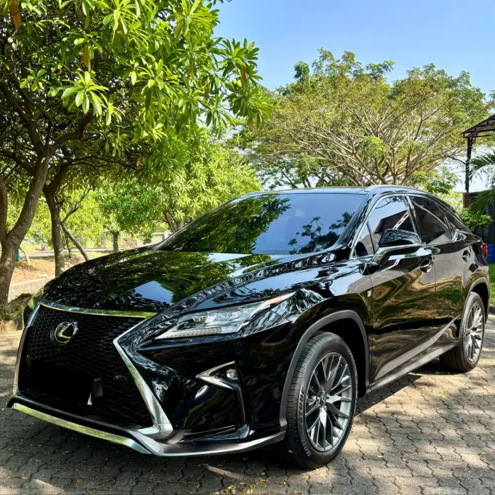 Rx300 F Sport Low KM