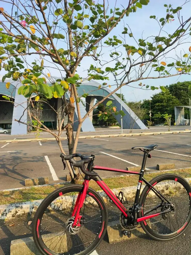 speda road bike pacific