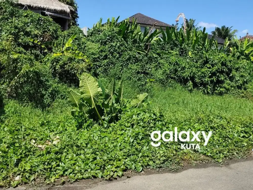 DISEWAKAN TANAH LOKASI STRATEGIS COCOK UNTUK VILLA DI TIBUBENENG CANGGU