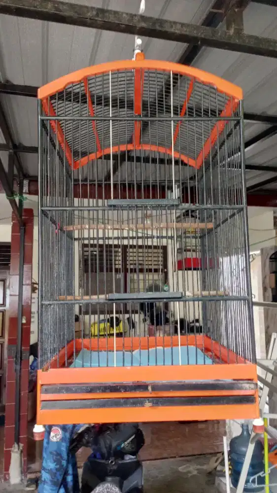 Sangkar uk 40x45 plus krodong