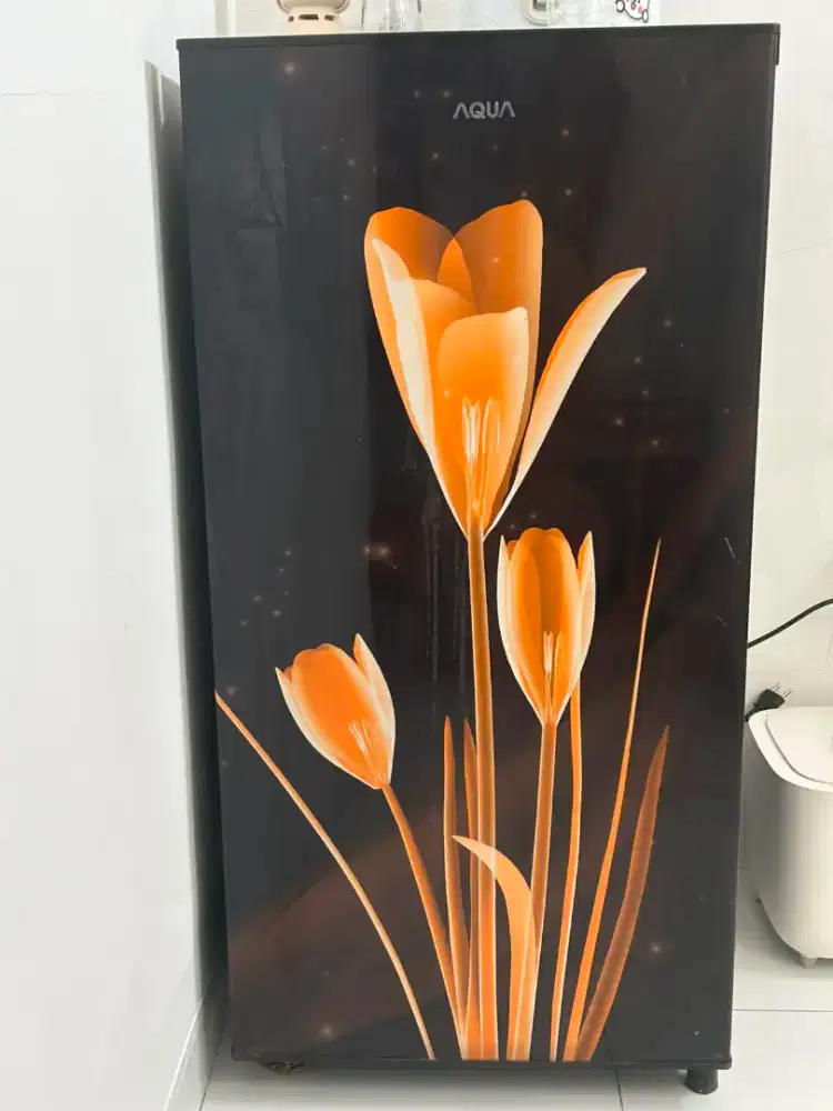 kulkas Aqua 1 pintu