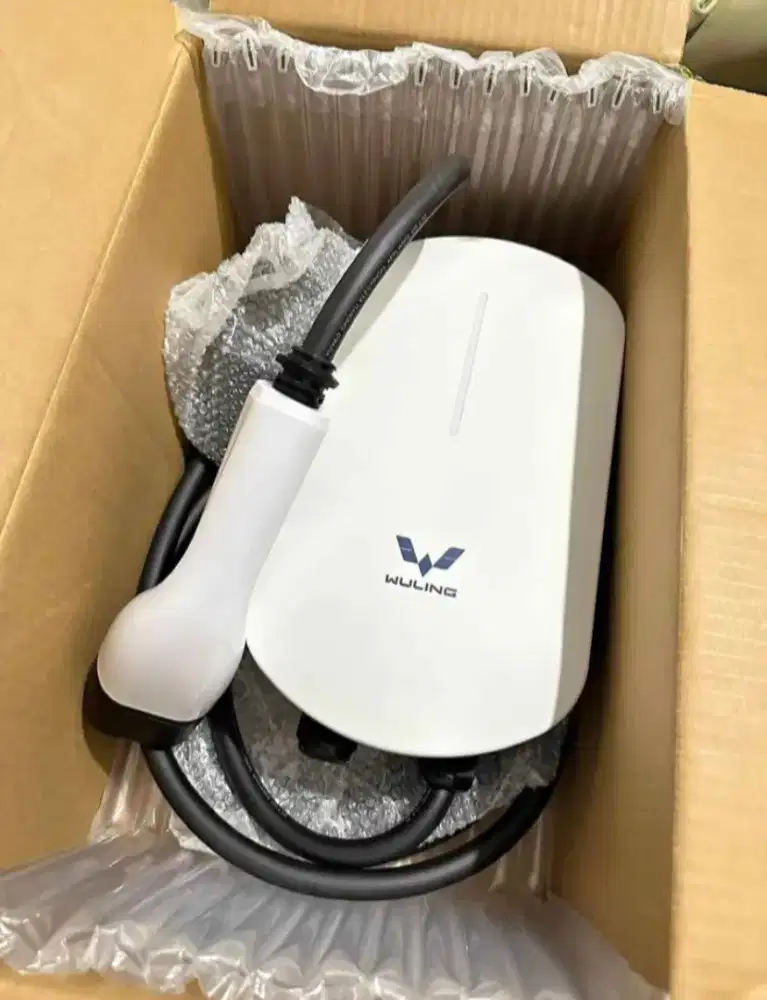 Wall charger wulig ccs2
