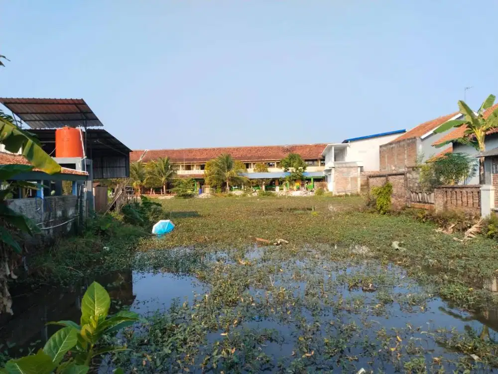 Jual Sawah SHM, Lokasi Strategis di Kota Kebumen