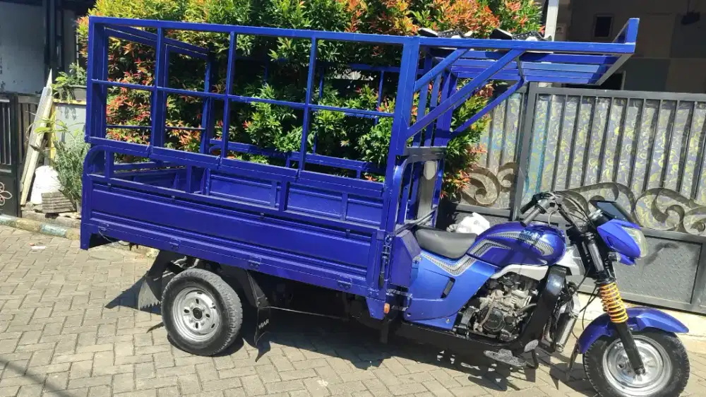 Viar 200long istimewa