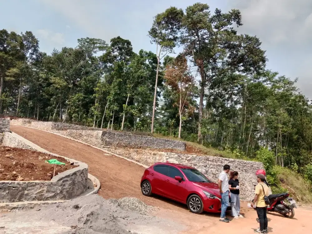 Tanah premium sekitar kampus Unnes Semarang siapbangun SHM bisa tempo