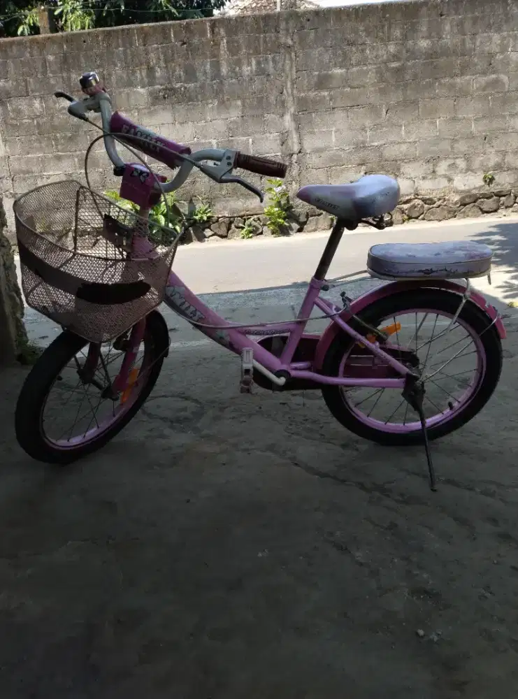 Sepeda Anak Perempuan Family Lillies 18 Inch Pink - Second Siap Pakai