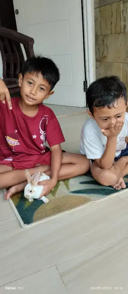 Lowongan ART PP CINANGKA, SAWANGAN, DEPOK