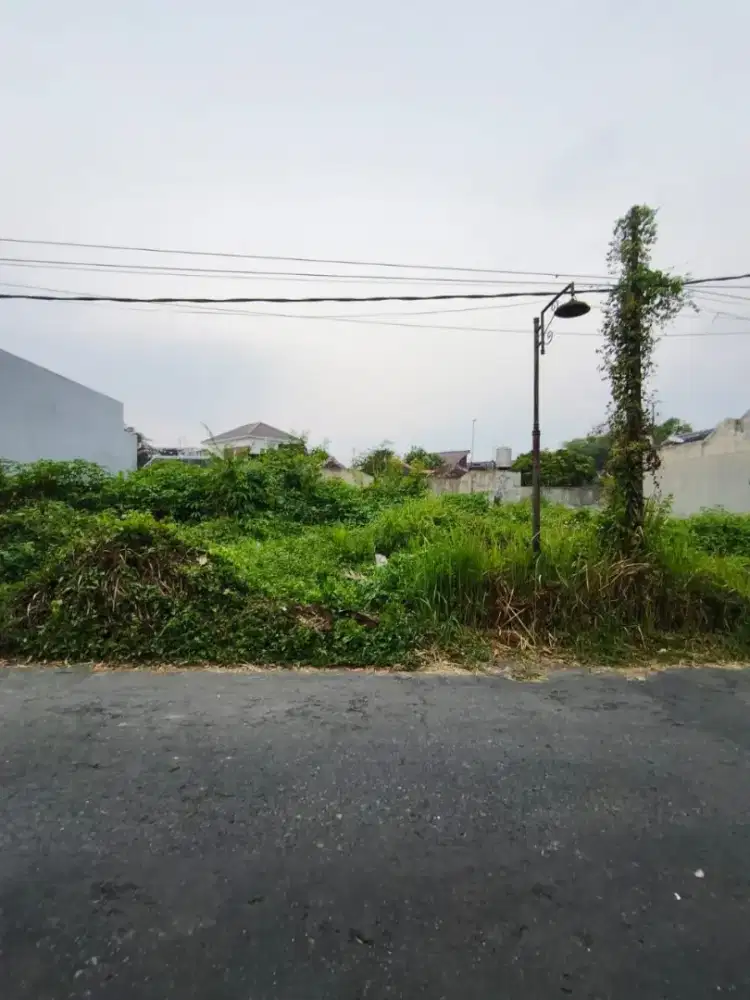Tanah Murah Puncak Dieng Malang