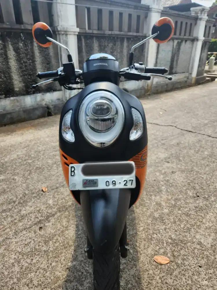 Scoopy Cool 2022