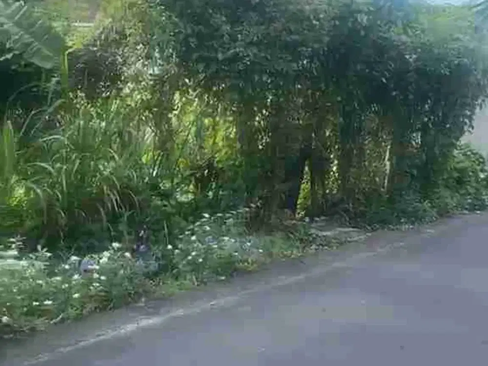 Tanah Hook Drupadi Renon Lingkungan Rumah Mewah