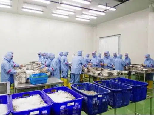 Operator Produksi Udang