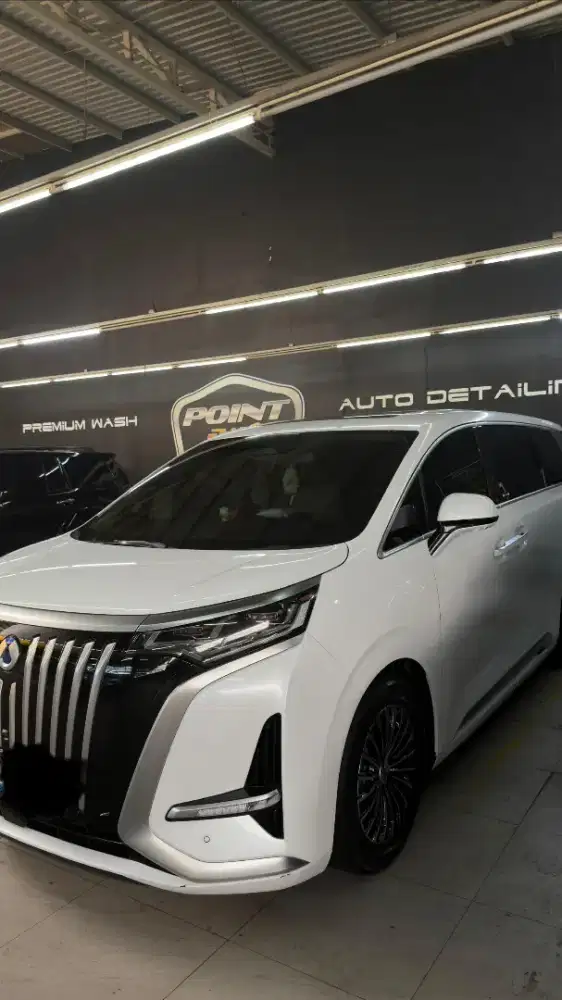 Mobil Denza D9 mobil pribadi, pemakaian sendiri