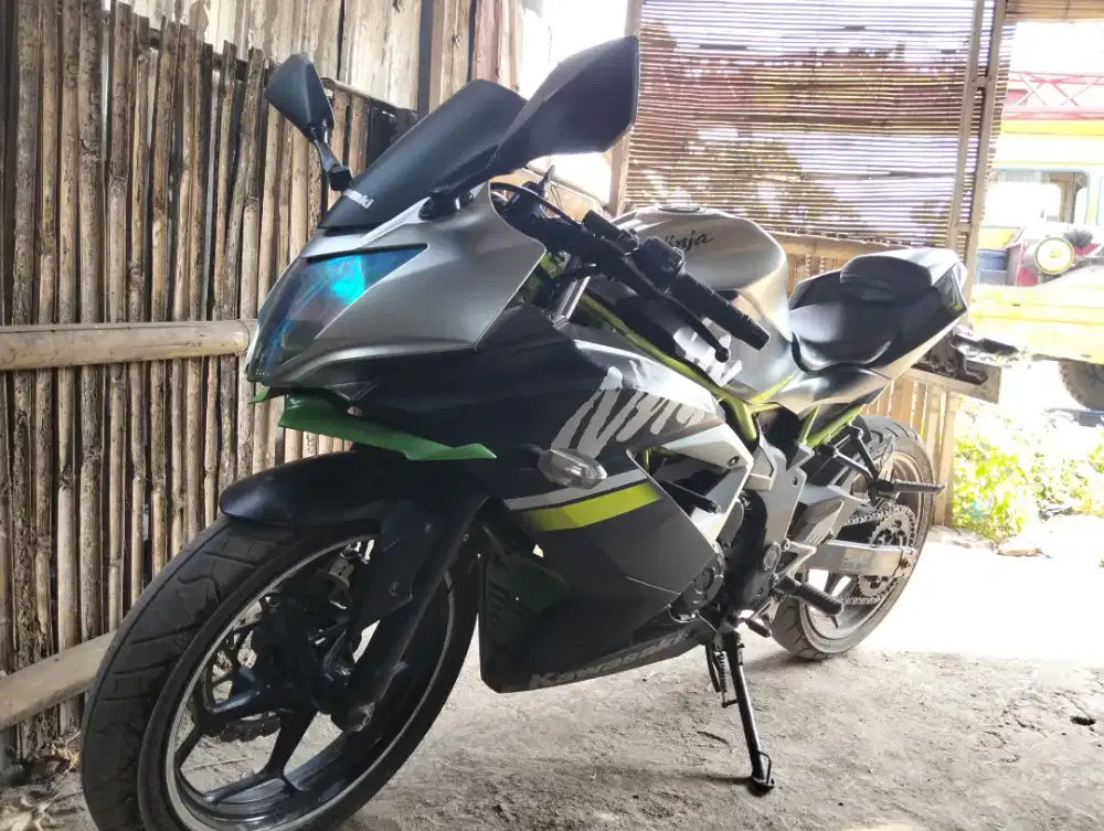 Ninja mono ganteng