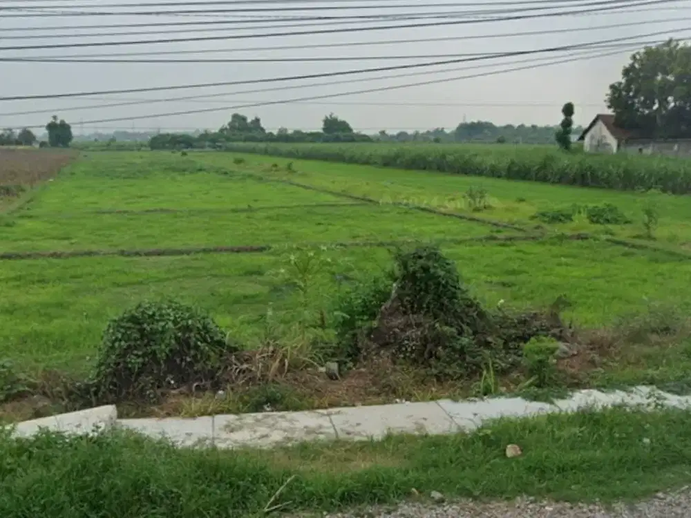 tanah luas 14200m2 di jln raya jombang ke kediri