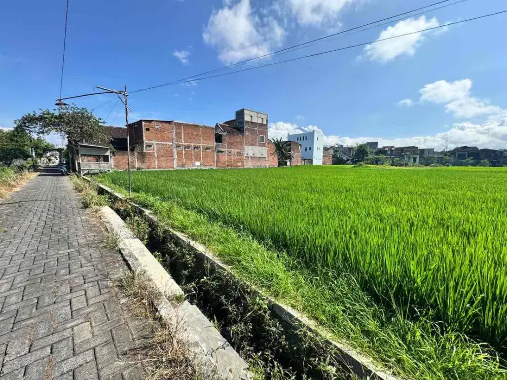Dijual murah Sawah Strategis Dekat Kampus ITN 2 Tasikmadu