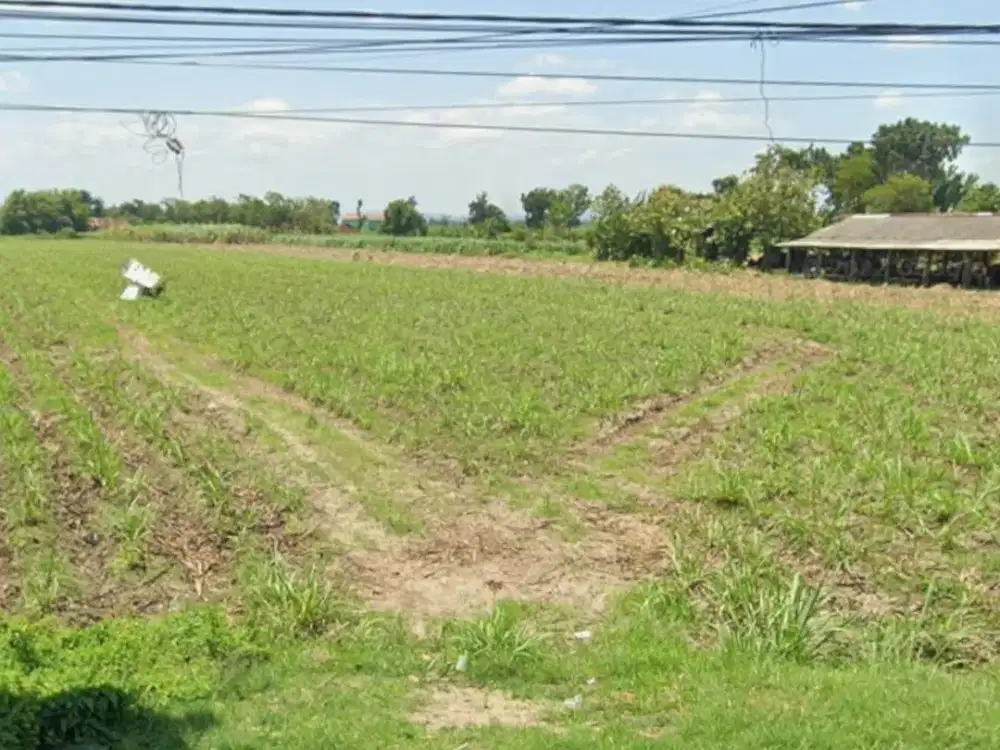 tanah luas 20000m2 nol jalan raya perak jombang dekat pintu Tol kertosono