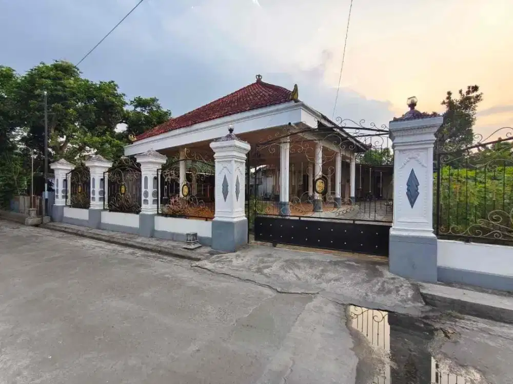 Rumah Bagus Bonus Joglo dan Kebun