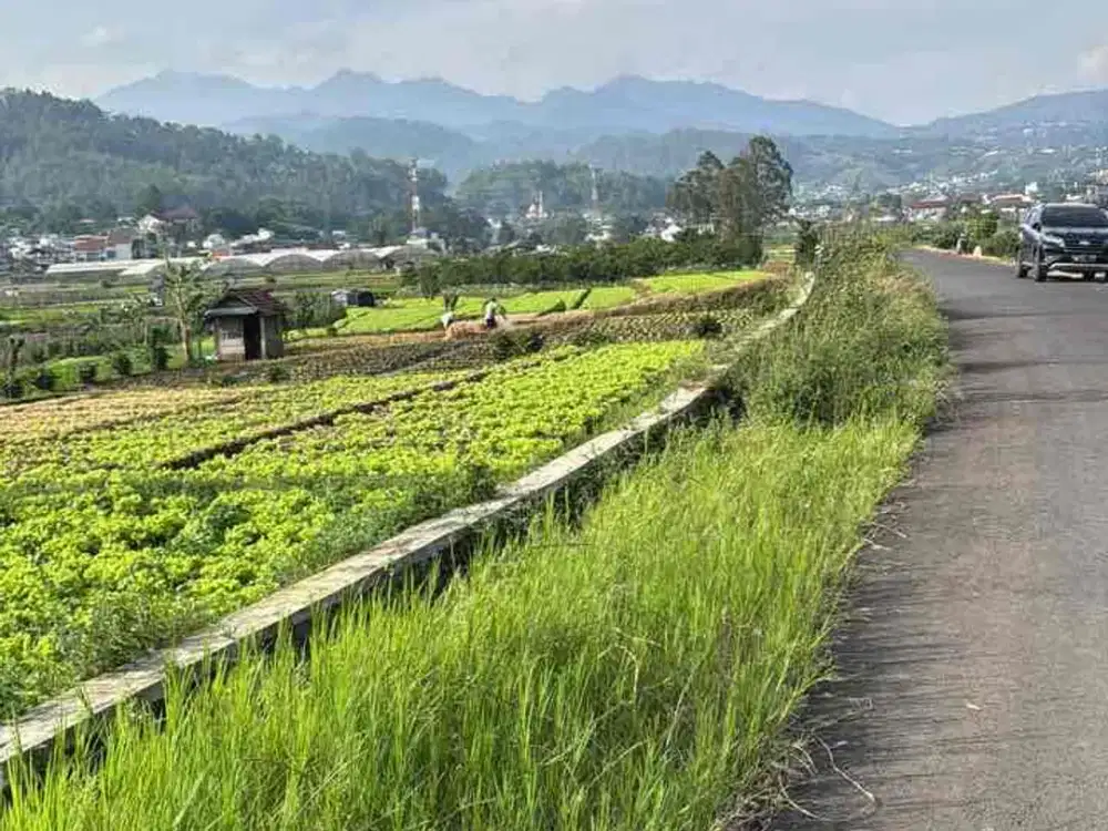 Tanah Strategis Kota Batu – Lokasi Premium dengan View 360°