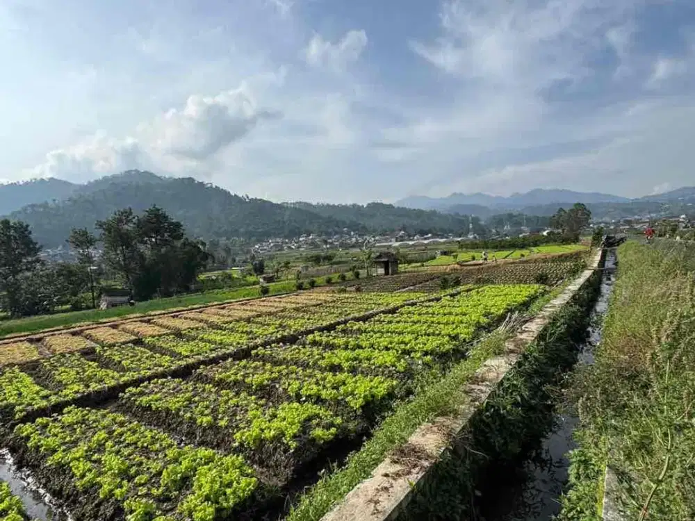 DIJUAL TANAH STRATEGIS KOTA BATU – VIEW 360° DI KAWASAN PUTHUK TRITIH