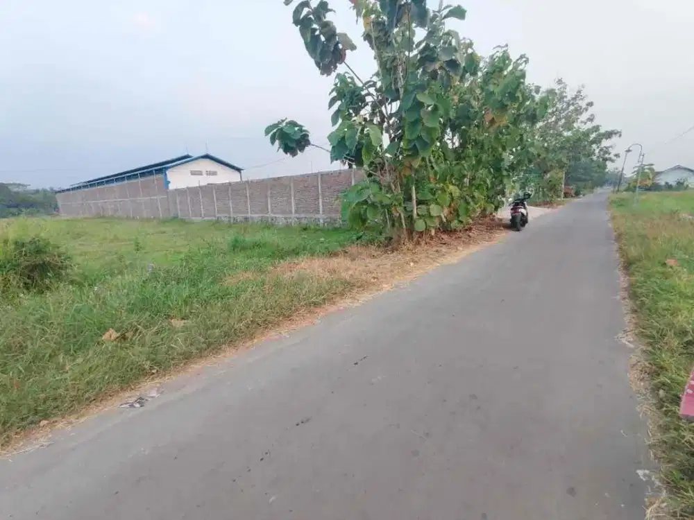 Tanah  Murah Zona Merah Industri