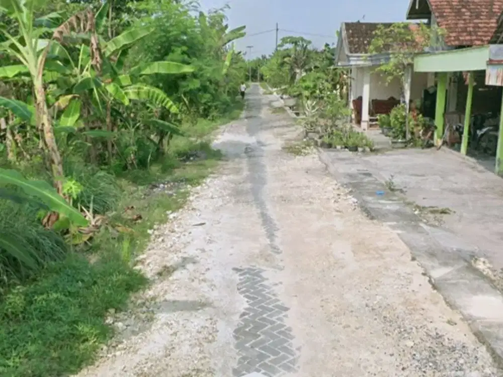 Tanah Murah Plumpang Sukodadi Dekat Kampus Unisda Lamongan