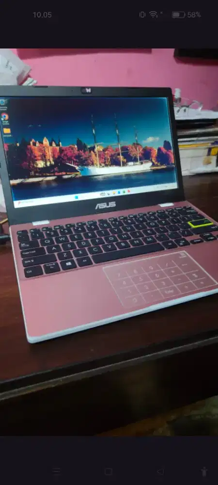 ASUS VivoBook E210MA Celeron N4020 SSD 256GB RAM 4GB