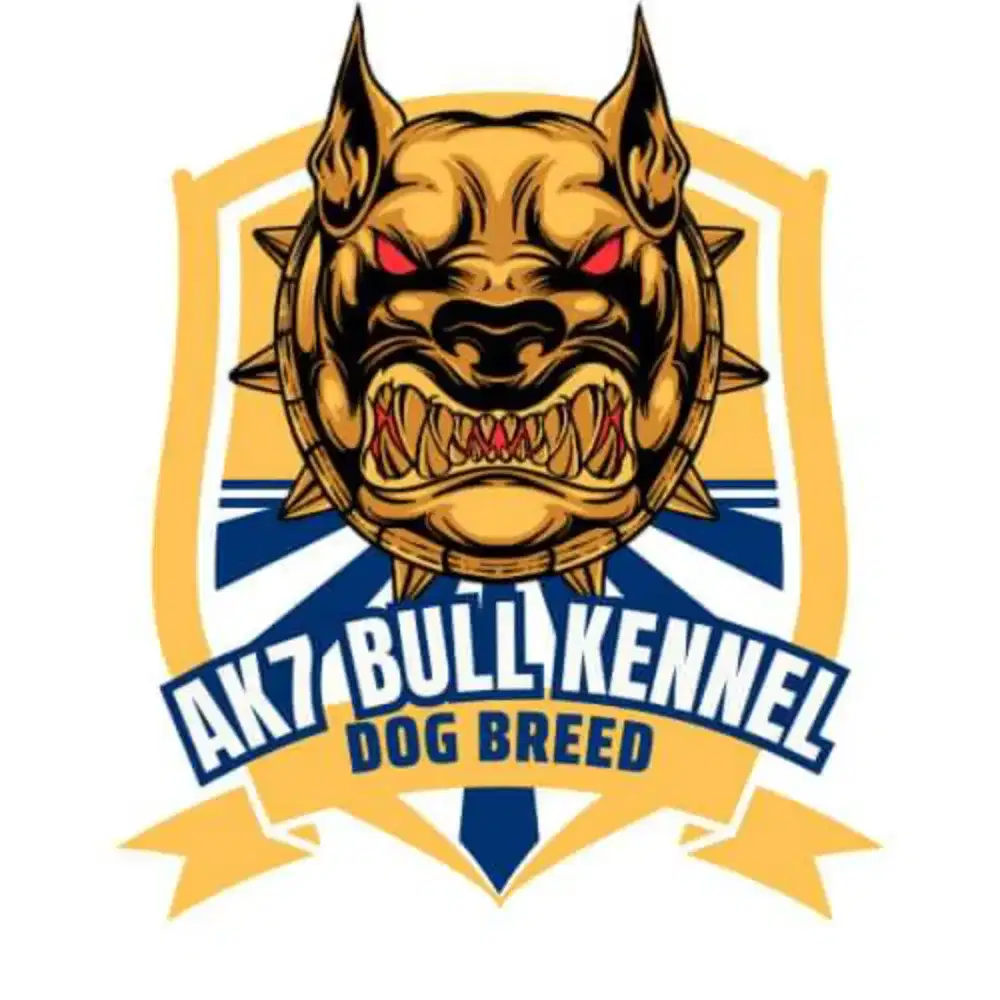 ANJING RAS PIBULL