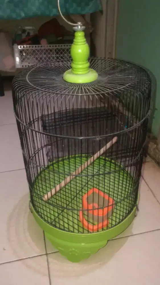 Kandang besi ukuran 3