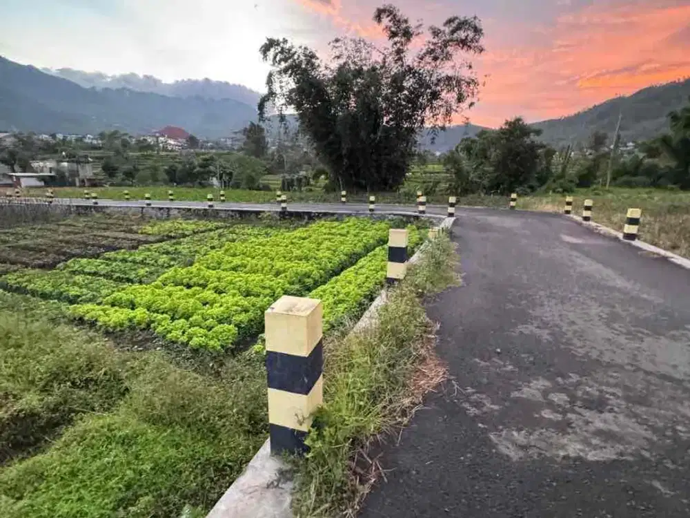 DIJUAL TANAH STRATEGIS METRO KOTA BATU – LOKASI PREMIUM DI KAWASAN VILA, HOTEL & CAFE
