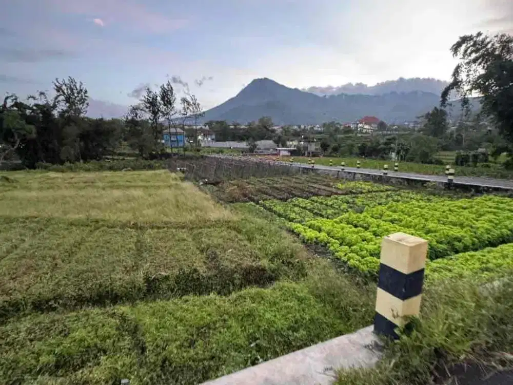 Dijual Tanah Strategis Metro Kota Batu – Hook Pinggir Jalan Aspal