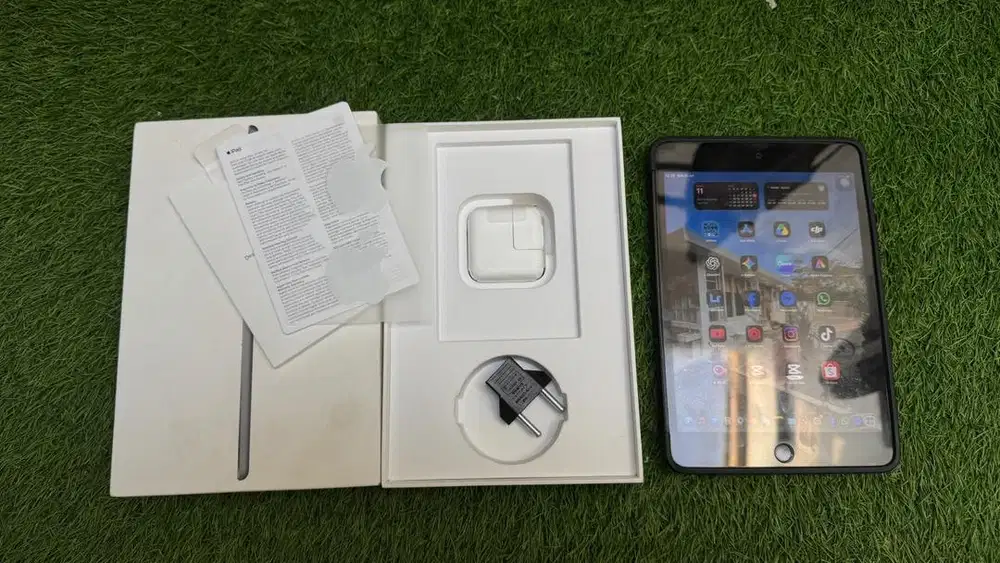 ipad Mini 5 256gb ex Singapore