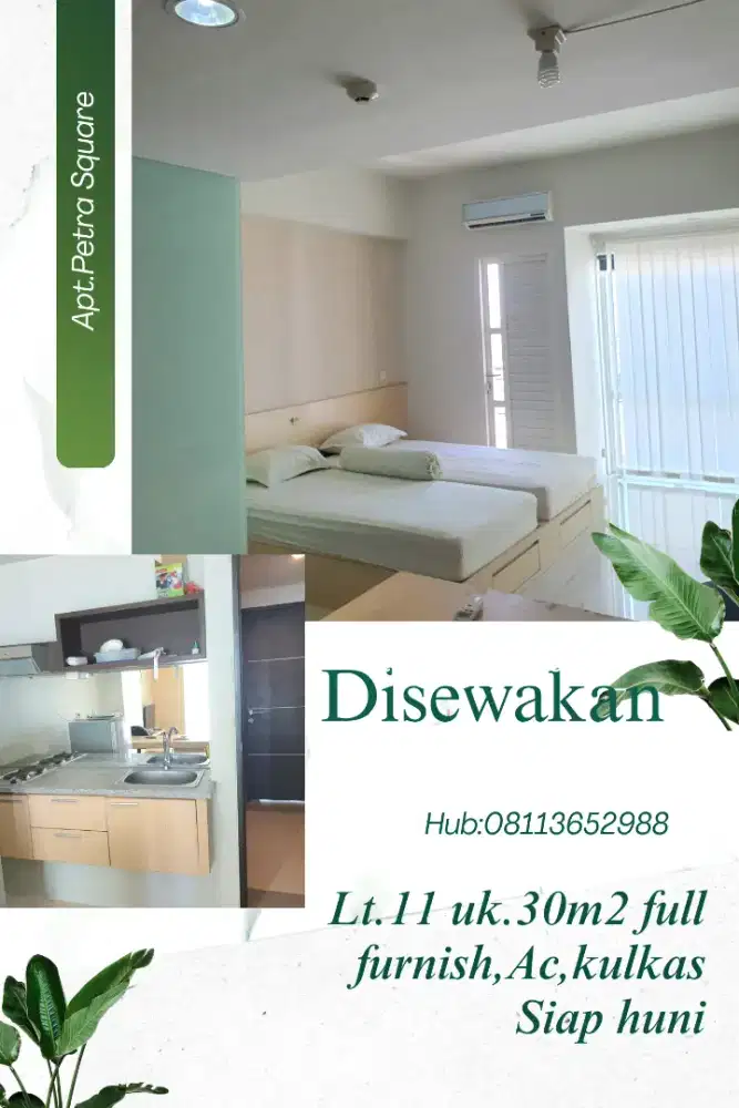 Disewakan cepat