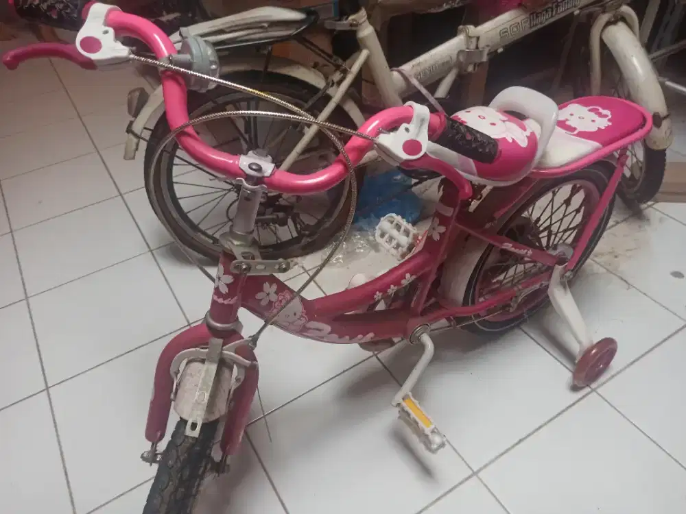 Dijual sepeda anak perempuan